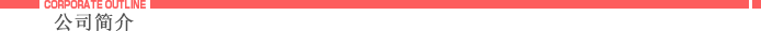 公司简介