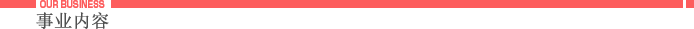 事业内容